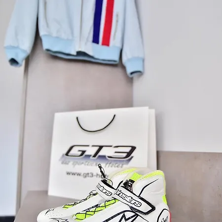 Gt3 Honerath
